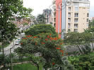 Laureles Apartamento Vista