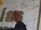 Silletera - Under Construction - Flower Festival 2006 (108kb)