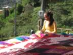 Dedicated Worker Applies Finishing Touches - Flower Festival 2006 (278kb)