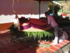 Haciendo la Silleta Grande - Feria de las Flores (173kb)