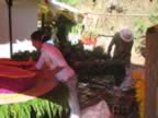 2 days left to Silleteros Parade - Flower Festival 2006 (203kb)