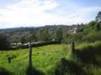 Santa Elena Country Side - Flower Festival 2006 (209kb)